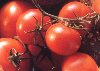 2 Recettes avec des Tomates ! 