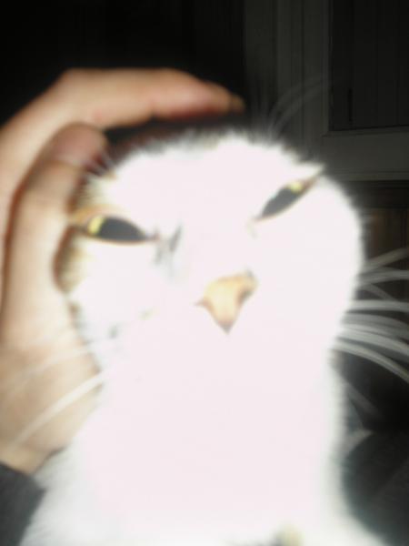 ALIEN MINNIE