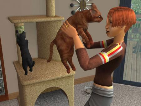 Les Sims